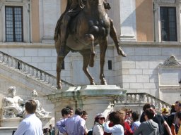 IMG_7355